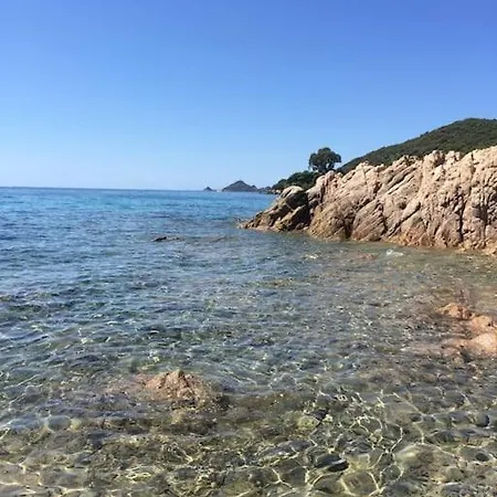 Διαμέρισμα F2 Vue Dans Avec Piscine Αζάτσιο