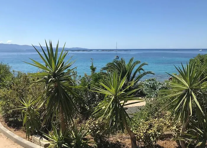 Appartement F2 Vue Dans Résidence Avec Piscine